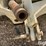 international-cub-154-lo-boy-image-9