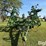 john-deere-980-image-2