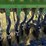 john-deere-8000-image-19