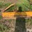 international-cub-lo-boy-image-2