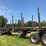 #616-•-1994-savannah-log-trailer-image-8