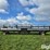 2022-geringhoff-truflex-image-2