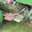 john-deere-1020-image-22