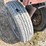 1967-case-ih-5-image-20