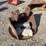#52094-•-case-18”-bucket-inv#52094-image-2