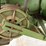 1967-john-deere-105-image-11