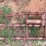 krause-16’-4-row-chisel-image-16