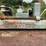 #141-•-diehl-750-straight-line-ripsaw-image-5