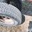 1967-case-ih-5-image-19