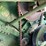 1985-john-deere-8820-titan-ii-image-19