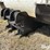 wylie-300-image-10