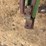 john-deere-37-image-19