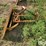 international-cub-lo-boy-image-8