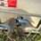 #50007-•-lot-of-(5)-poly-tanks-w/-cage-inv#50007-image-5