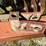 case-ih-496-image-11