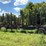 #608-•-2018-pitts-log-trailer-image-1