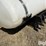 wylie-300-image-11