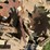 john-deere-1780-image-12