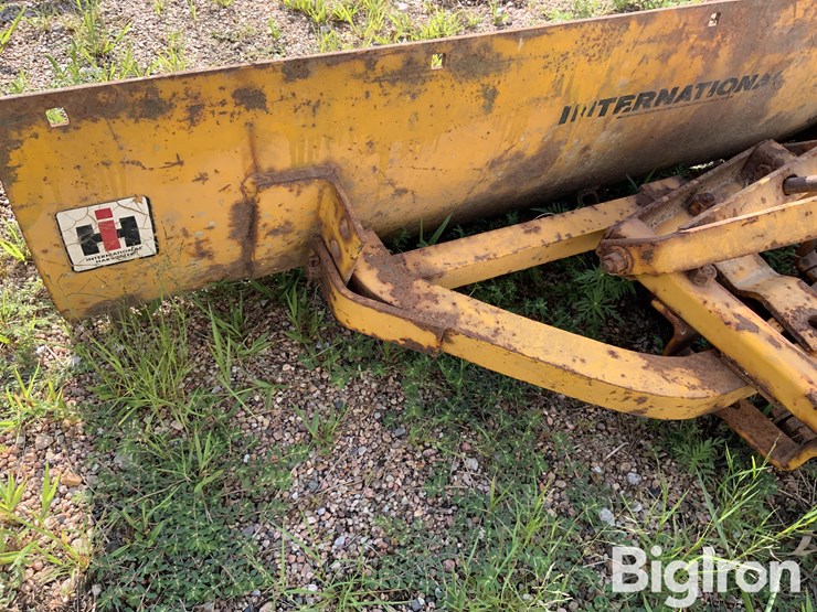international-cub-lo-boy-image-12