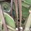 1955-john-deere-55-image-14