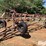 nh3-40’-anhydrous-knife-applicator-image-9