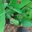 1996-john-deere-566-image-10