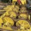 #110-•-fulgum-e-616-rosserhead-debarker-image-14