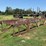 #142-•-2-strand-transfer-deck-image-5