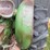 john-deere-1020-image-40