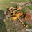 international-cub-lo-boy-image-7