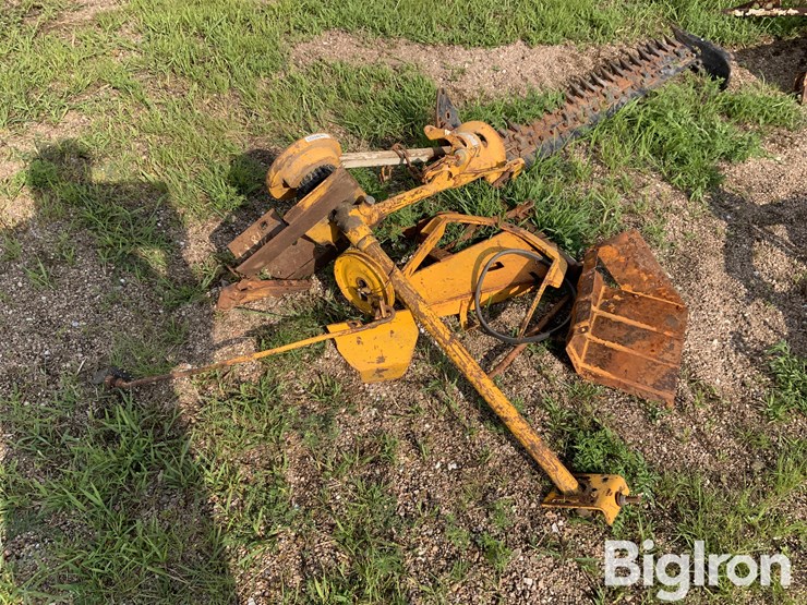 international-cub-lo-boy-image-7