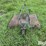 ford-3400-image-6