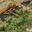 international-cub-lo-boy-image-7