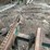 #112-•-winston-3-strand-log-deck-image-18