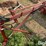 international-cub-154-lo-boy-image-15