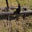 #54422-•-8'-cultivator-inv#54422-image-7