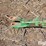 john-deere-716a-image-11
