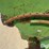 john-deere-68-image-16