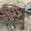 #162-•-shaft,-sprockets-and-chain-image-6