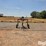 nitzsche-weeder-self-propelled-rye-wicker-image-9
