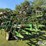 john-deere-980-image-7