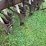 farmers-friend-drill-image-14