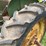 john-deere-b-image-40