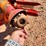 new-holland-355-image-19