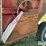 westendorf-gravity-wagon-image-18