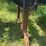 #611-•-pitts-log-trailer-image-23