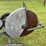 cushman-engine-image-20