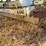 #665-•-concave-belt-conveyor-image-2