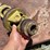 bush-hog-268-image-10