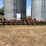 469-international-cultivator-image-2